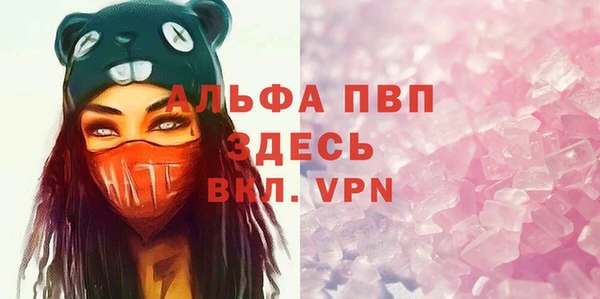 стаф Покровск