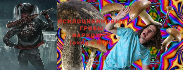 гашик Покачи