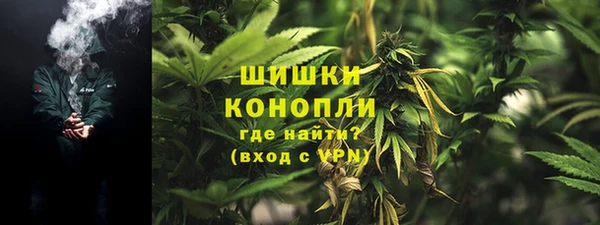 гашик Покачи