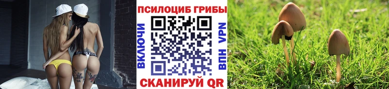 Псилоцибиновые грибы Psilocybine cubensis  Купить  Кущёвская 
